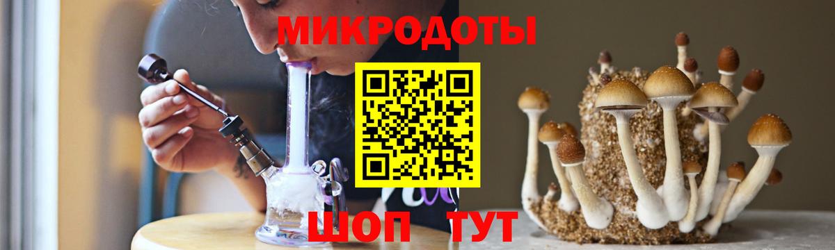 Галлюциногенные грибы GOLDEN TEACHER Курчалой